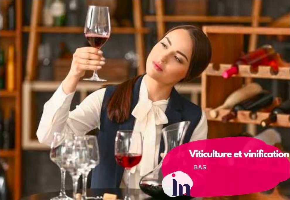 Viticulture et vinification